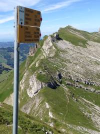 Photo Srenberg small